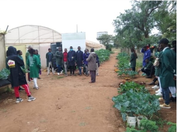 Agriculture and Applied Sciences